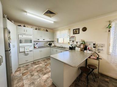 House For Sale - NSW - Ashford - 2361 - Quality Brick home in Ashford with acres  (Image 2)