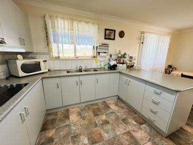 House For Sale - NSW - Ashford - 2361 - Quality Brick home in Ashford with acres  (Image 2)