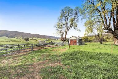 Other (Rural) For Sale - NSW - Tumut - 2720 - Rural Holding!  (Image 2)