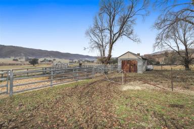 Other (Rural) For Sale - NSW - Tumut - 2720 - Rural Holding!  (Image 2)