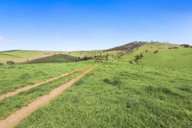 Other (Rural) For Sale - NSW - Tumut - 2720 - Rural Holding!  (Image 2)