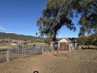 Other (Rural) For Sale - NSW - Tumut - 2720 - Rural Holding!  (Image 2)