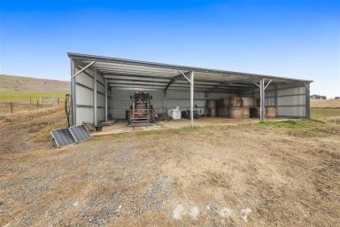 Other (Rural) For Sale - NSW - Tumut - 2720 - Rural Holding!  (Image 2)