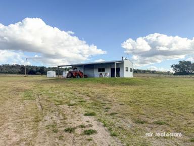 Lifestyle For Sale - NSW - Warialda - 2402 - VERSATILE RURAL LIFESTYLE  (Image 2)
