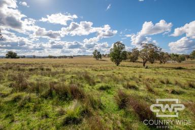 Residential Block For Sale - NSW - Emmaville - 2371 - Own Piece of Paradise in Emmaville  (Image 2)