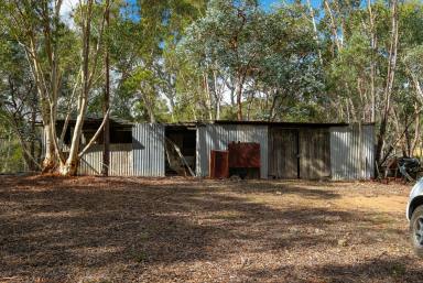 Lifestyle For Sale - NSW - Goulburn - 2580 - ACREAGE WITH WATER VIEWS  (Image 2)