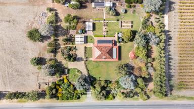 House For Sale - SA - Coonawarra - 5263 - Lifestyle Haven in the Heart of the Coonawarra Wine Region  (Image 2)