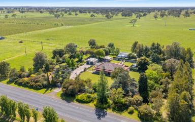 House For Sale - SA - Coonawarra - 5263 - Lifestyle Haven in the Heart of the Coonawarra Wine Region (Image 2)