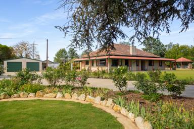 House For Sale - SA - Coonawarra - 5263 - Lifestyle Haven in the Heart of the Coonawarra Wine Region  (Image 2)