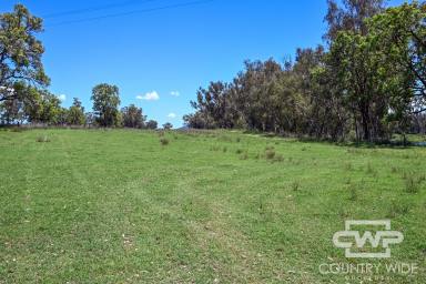 Lifestyle For Sale - NSW - Bonshaw - 2361 - Dumaresq River with Building Entitlement  (Image 2)