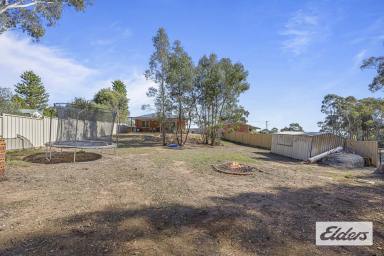 House For Sale - VIC - Avoca - 3467 - Spacious Family Living on a Generous Block  (Image 2)