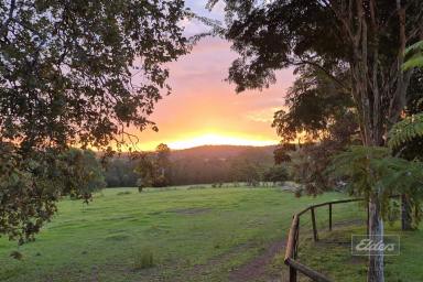 House For Sale - QLD - Scotchy Pocket - 4570 - A PIECE OF COUNTRY HISTORY WITH 180M RIVER FRONTAGE  (Image 2)