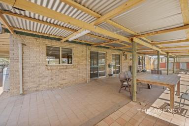 House For Sale - WA - Northampton - 6535 - NOW SELLING - EQUESTRIAN ENTHUSIASTS LIFESTYLE PROPERTY  (Image 2)