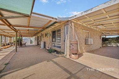 House For Sale - WA - Northampton - 6535 - NOW SELLING - EQUESTRIAN ENTHUSIASTS LIFESTYLE PROPERTY  (Image 2)