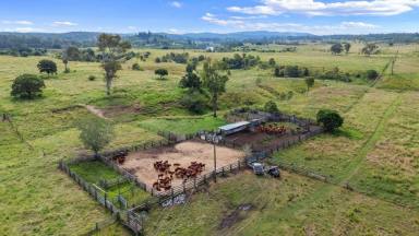 Other (Rural) For Sale - QLD - Gundiah - 4650 - QUALITY GUNDIAH MARY RIVER PROPERTY "EVERGREEN"  (Image 2)