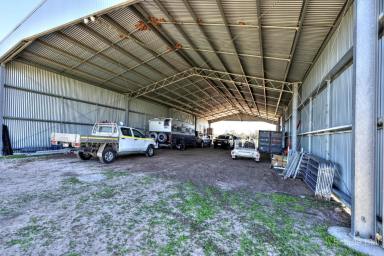 Mixed Farming Auction - NSW - Brewarrina - 2839 - Narran River Floodplain Country  (Image 2)
