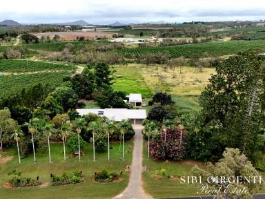 House For Sale - QLD - Paddys Green - 4880 - MORE THAN JUST AN ACREAGE LIFE STYLE  (Image 2)