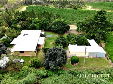 House For Sale - QLD - Paddys Green - 4880 - MORE THAN JUST AN ACREAGE LIFE STYLE  (Image 2)