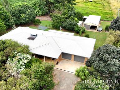 House For Sale - QLD - Paddys Green - 4880 - MORE THAN JUST AN ACREAGE LIFE STYLE  (Image 2)