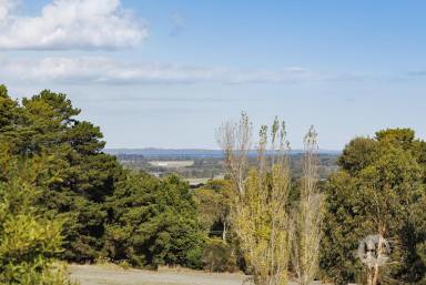Acreage/Semi-rural For Sale - VIC - Langwarrin South - 3911 - Secluded Setting with Endless Possibilities  (Image 2)