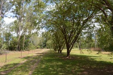 House For Sale - NT - Berry Springs - 0838 - ** under contract **
Versatile property in Berry Springs  (Image 2)