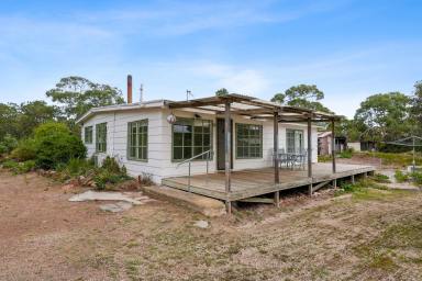 House For Lease - TAS - Dolphin Sands - 7190 - Birdsong and beach walks  (Image 2)