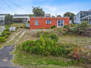 House For Sale - TAS - Greens Beach - 7270 - Cosy Beach Shack  (Image 2)