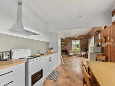 House For Sale - TAS - Greens Beach - 7270 - Cosy Beach Shack  (Image 2)