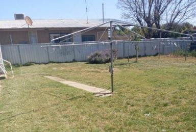 House For Lease - NSW - Deniliquin - 2710 - Partially furnished with Big Yard  (Image 2)