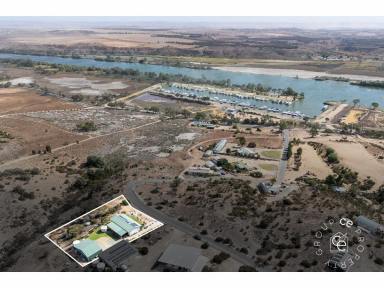 House For Sale - SA - Younghusband - 5238 - Elevated block with extensive views  (Image 2)