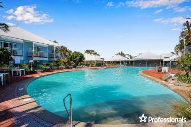 Studio For Sale - QLD - Dolphin Heads - 4740 - Great Investment at the Beach!  (Image 2)