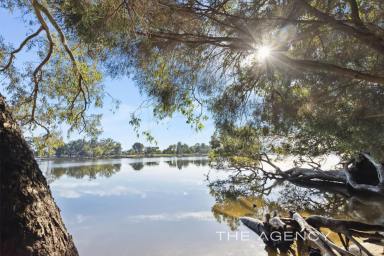 Apartment For Sale - WA - Rivervale - 6103 - Riverside Opportunity  (Image 2)