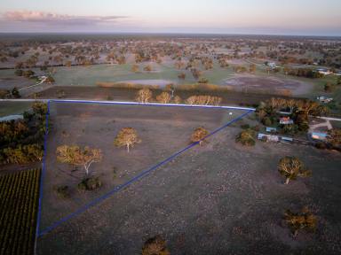 Residential Block For Sale - SA - Penola - 5277 - 5 hectare allotment in stunning rural setting  (Image 2)