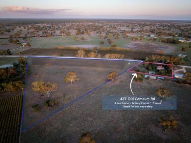 Residential Block For Sale - SA - Penola - 5277 - 5 hectare allotment in stunning rural setting  (Image 2)