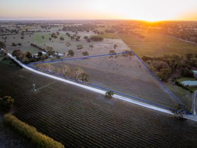 Residential Block For Sale - SA - Penola - 5277 - 5 hectare allotment in stunning rural setting  (Image 2)