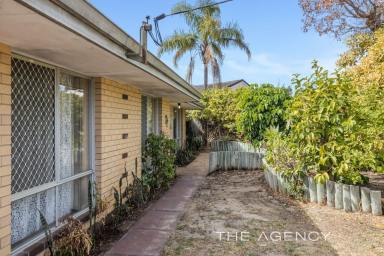 House For Sale - WA - Padbury - 6025 - Good Bones, Great Potential!  (Image 2)