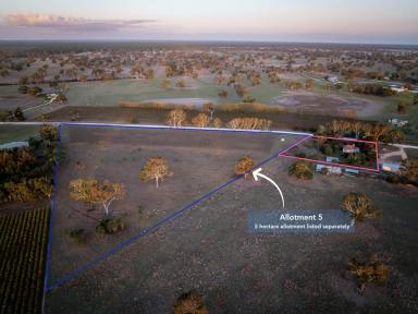 House For Sale - SA - Penola - 5277 - Rural retreat on 1.7 acres minutes from Penola  (Image 2)