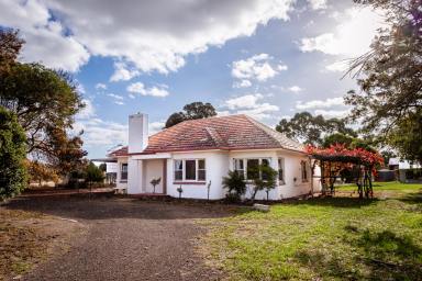 House For Sale - SA - Penola - 5277 - Rural retreat on 1.7 acres minutes from Penola  (Image 2)