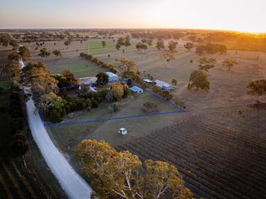 House For Sale - SA - Penola - 5277 - Rural retreat on 1.7 acres minutes from Penola  (Image 2)