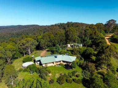 Acreage/Semi-rural For Sale - NSW - Bega - 2550 - STUNNING BUSH SETTING  (Image 2)