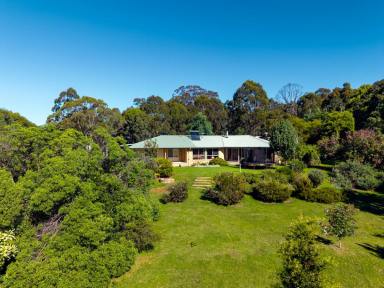 Acreage/Semi-rural For Sale - NSW - Bega - 2550 - STUNNING BUSH SETTING  (Image 2)