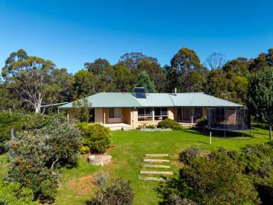 Acreage/Semi-rural For Sale - NSW - Bega - 2550 - STUNNING BUSH SETTING  (Image 2)