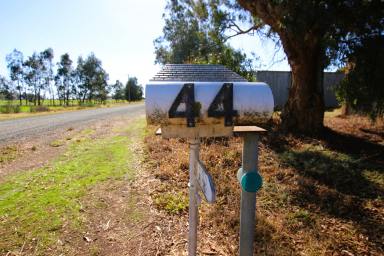 Lifestyle For Sale - VIC - Lockington - 3563 - Ideal Rural Lifestyle Opportunity on 34.5 Acres (14ha) approx.  (Image 2)