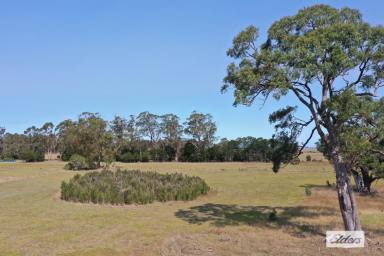 Residential Block For Sale - VIC - Devon North - 3971 - RIPE FOR DEVELOPMENT - A GREAT INVESTMENT  (Image 2)