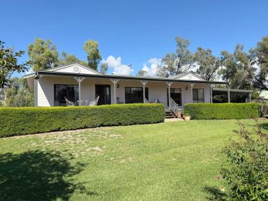 House For Sale - NSW - Moree - 2400 - IMPRESSIVE HOME MINUTES FROM TOWN WITH RIVER FRONTAGE  (Image 2)