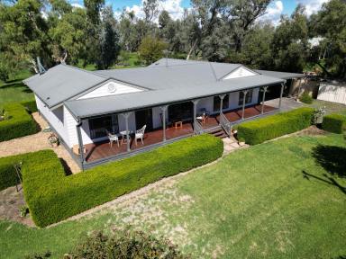 House For Sale - NSW - Moree - 2400 - IMPRESSIVE HOME MINUTES FROM TOWN WITH RIVER FRONTAGE  (Image 2)