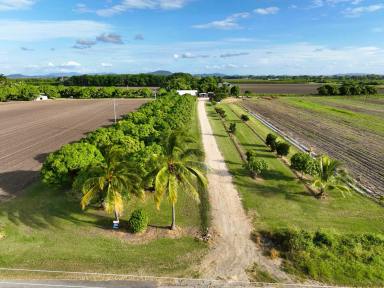 Acreage/Semi-rural For Sale - QLD - Bowen - 4805 - Enjoy Life AND Generate Some Income  (Image 2)