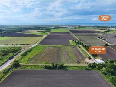 Acreage/Semi-rural For Sale - QLD - Bowen - 4805 - Enjoy Life AND Generate Some Income  (Image 2)
