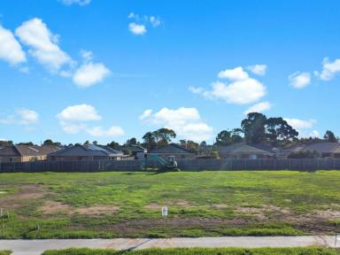 Residential Block For Sale - VIC - East Bairnsdale - 3875 - LEVEL BUILDING BLOCK  (Image 2)
