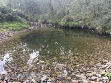 Residential Block Sold - VIC - Glenmaggie - 3858 - Weekend Retreat with Your Own Creek  (Image 2)